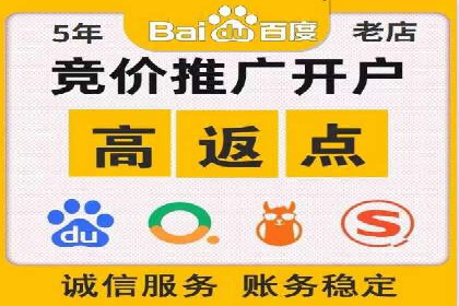 某行业领军企业的SEM广告投放策略